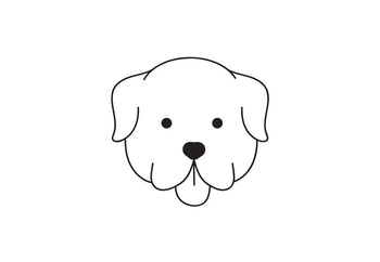 Comment faire un ménage efficace avec un animal de compagnie