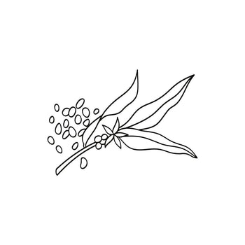 Liste INCI : c'est quoi ?