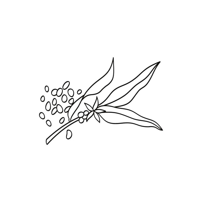 Liste INCI : c'est quoi ?